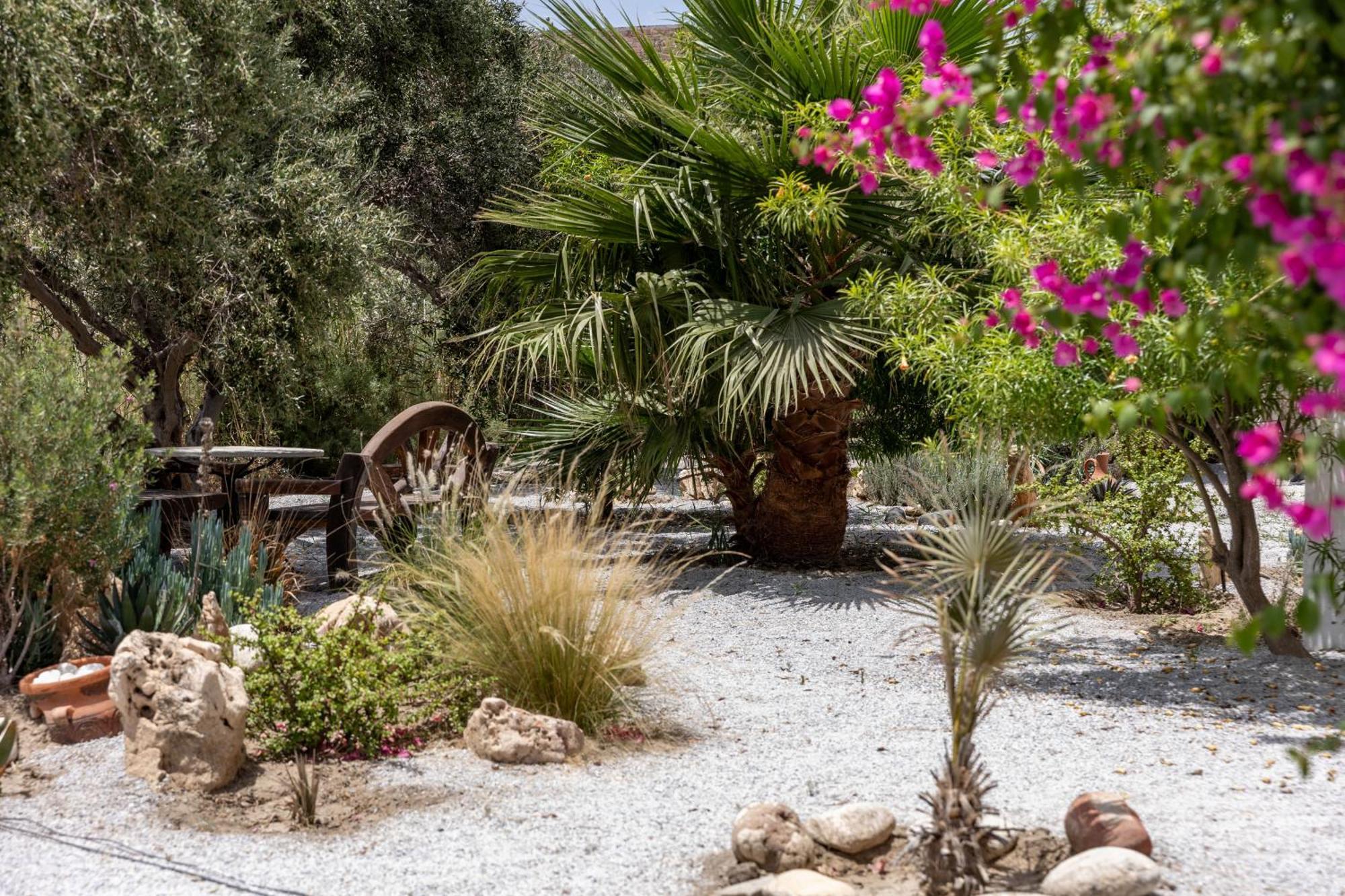 Helios Beach Studios Pláka المظهر الخارجي الصورة